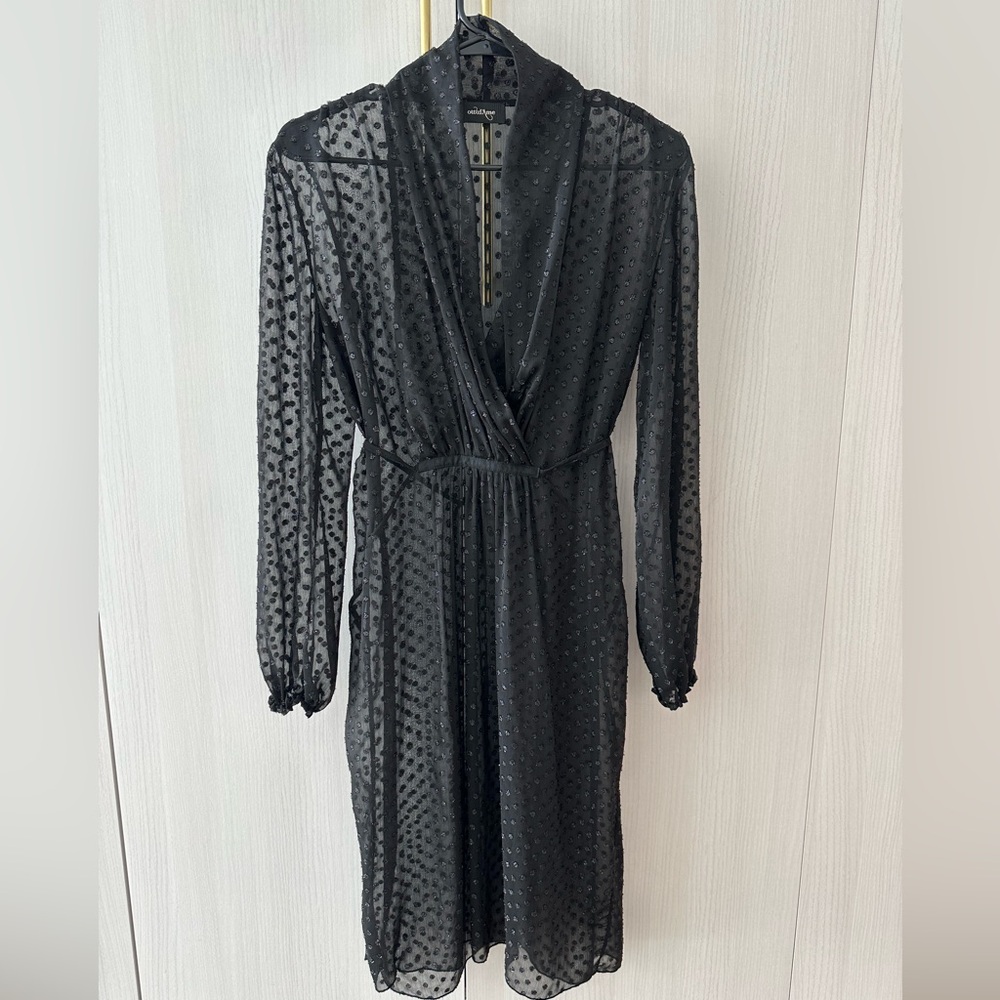Ottod’ame Black Shimmer Sheer Swiss Dot Dress